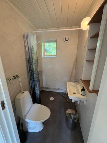 a small bathroom with a toilet and a sink at Övertun in Hamburgsund