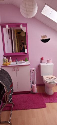 a woman taking a picture of a pink bathroom with a toilet at Maison de Caractère Maryann56 in Noyal-Muzillac