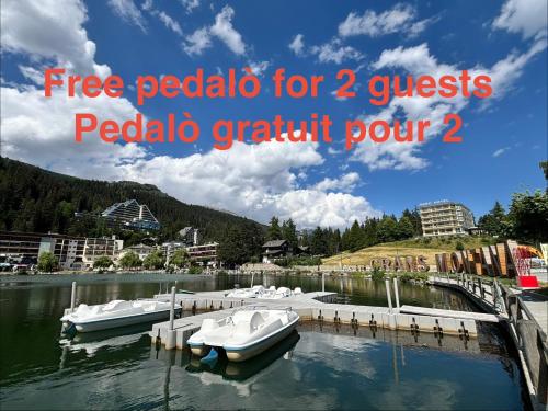 a group of boats docked at a dock in the water at Charmant appartement hyper central, idéal pour couple ou petite famille, parking couvert in Crans-Montana