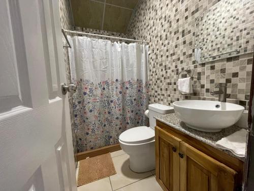 a bathroom with a sink and a toilet and a shower at Casa Colibrí Volcán in Volcán