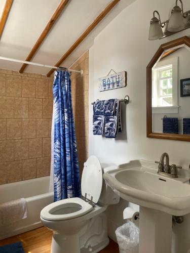 a bathroom with a toilet and a sink at Black Lantern B&B in Topsham