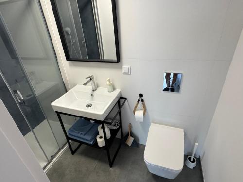 a bathroom with a sink and a toilet at Piankowe mini-apart in Rewal