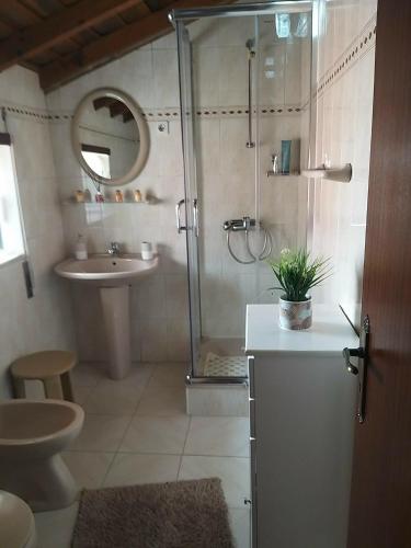 a bathroom with a shower and a toilet and a sink at Casa da Cristina in Nazaré