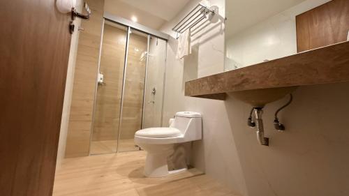 a bathroom with a toilet and a shower at Di Garda Hotel in Encarnación