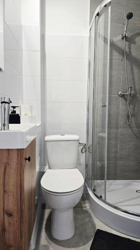 a white bathroom with a toilet and a shower at Apartament BIELSKA 26 in Płock
