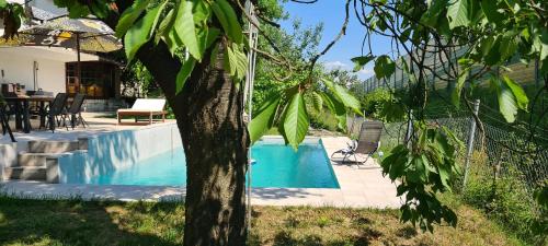 a swimming pool with a tree next to a house at Villa M&E Oasis with Private Pool in Košelji