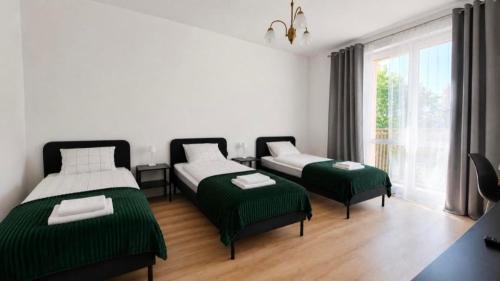 two beds in a room with green and white at Apartament BIELSKA 26 in Płock