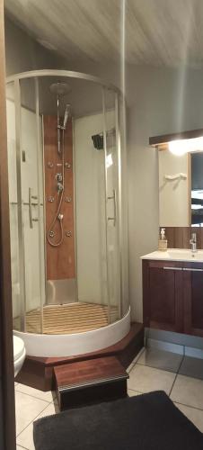 a bathroom with a shower and a toilet and a sink at La Fleur de Lys in Moulins