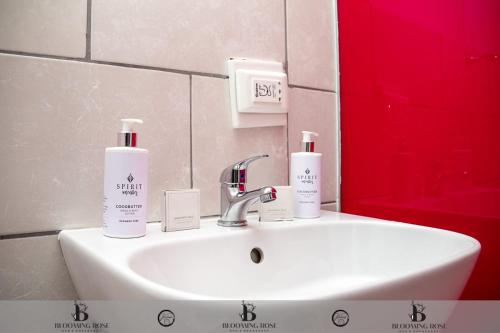 a bathroom sink with three bottles of moisturizers on it at Blooming Rose Bed and Breakfast in Polokwane
