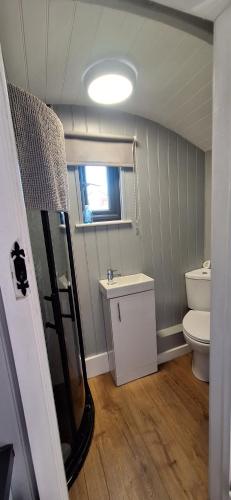 a small bathroom with a toilet and a sink at Pen-Rhos luxury glamping "Cuckoo's Nest" in Llandrindod Wells