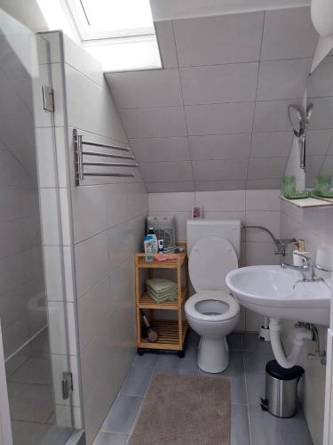 a bathroom with a toilet and a sink at Studioapartment Taiga in Grabovac