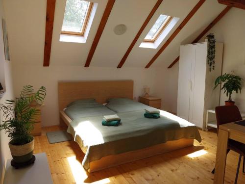 a bedroom with a bed in a room with skylights at Studioapartment Taiga in Grabovac
