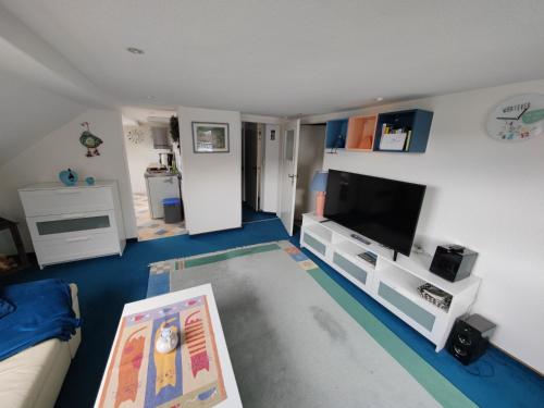 a living room with a flat screen tv and a couch at Ferienwohnung Siegmund Dachboden in Waltershausen