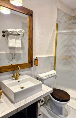 a bathroom with a sink and a toilet and a mirror at El Linar in Burgohondo