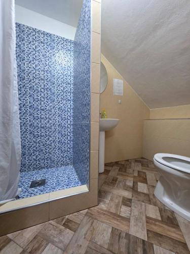 a bathroom with a shower with a toilet and a sink at Pensiunea Casa Maria in Corbeni