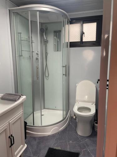 a bathroom with a shower and a toilet at Jardin de Meliss in La Plaine des Cafres