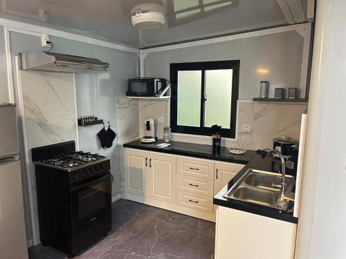 a small kitchen with a stove and a sink at Jardin de Meliss in La Plaine des Cafres