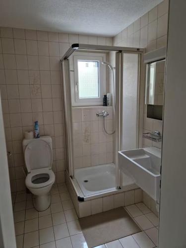 Romantic Apartment with Free Parking in Zurich