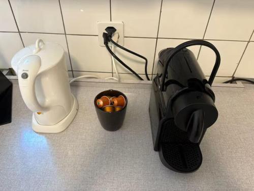 Romantic Apartment with Free Parking in Zurich