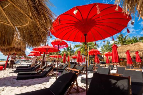 a bunch of chairs and umbrellas on a beach at Serenity Authentic Glamping Tulum in Xpu Ha