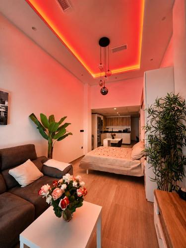 Basconia Smart Studio photo 7