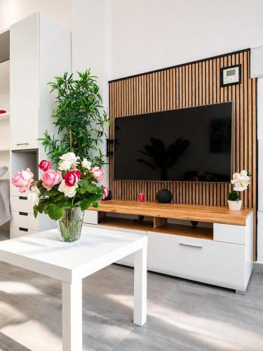 Basconia Smart Studio photo 6