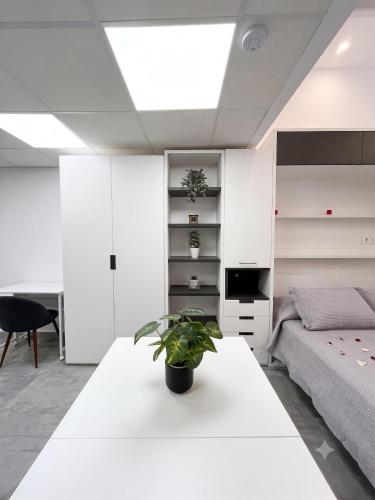 Basconia Smart Studio photo 17
