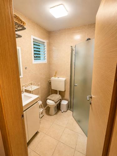 a bathroom with a toilet and a sink and a shower at la noach in Metulla