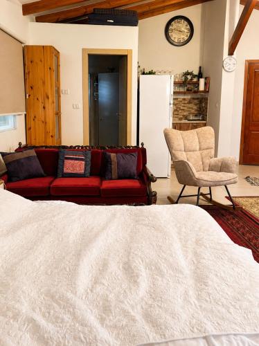 a living room with a red couch and a chair at la noach in Metulla