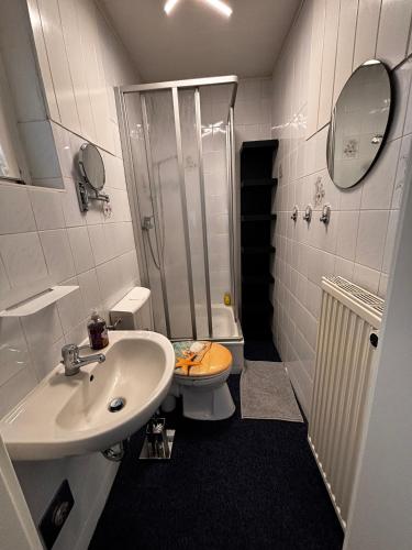 a bathroom with a sink and a toilet and a shower at Idylle Ostsee in Buggenhagen
