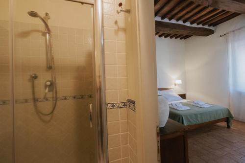 a bathroom with a shower and a bedroom with a bed at Hotel Relais Santa Genoveffa in Paganico