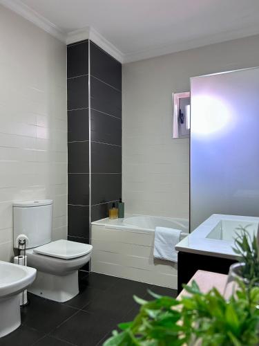 a bathroom with a toilet and a tub and a sink at Douro & Sabor Escape in Torre de Moncorvo
