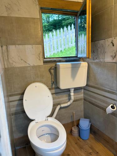 a small bathroom with a toilet with a window at Katun Lanista-Kolibe Bogavac in Mojkovac