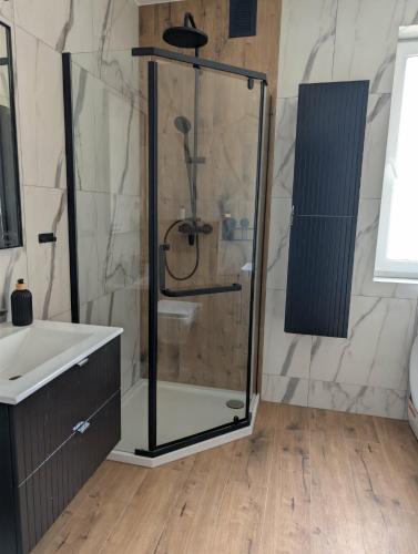 a bathroom with a shower and a sink at Apartament Żurawie in Jastrowie
