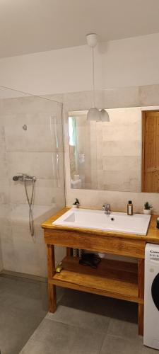 a bathroom with a white sink and a mirror at Agroturystyka Stasin in Trojanów