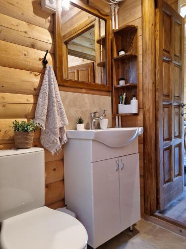a bathroom with a sink and a toilet in a log cabin at Brvnara Dina in Železnička Stanica Dolovo