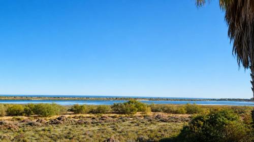 a view of the okavango river from a palm tree at Bela Ria Waterfront House Pool & Boat to Beach in Cabanas de Tavira