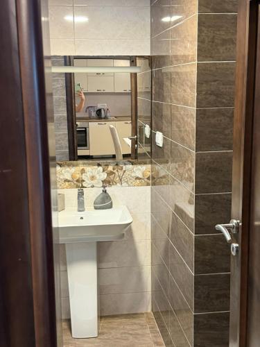 a bathroom with a sink and a mirror at Vila Srna in Petrovac na Moru