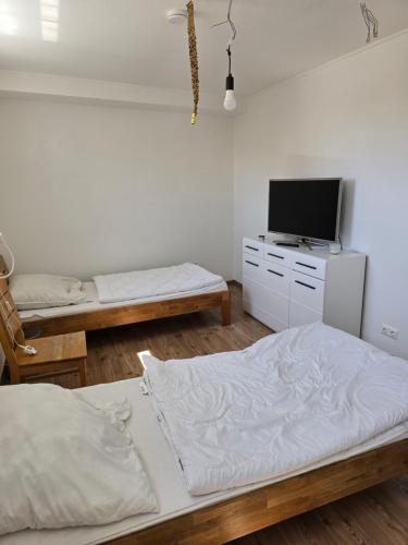 a bedroom with two beds and a tv on a cabinet at Ferienhaus An der Teufelsklippe in Veckenstedt