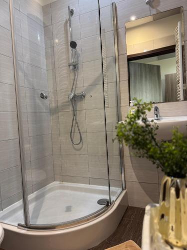 a bathroom with a shower with a glass door at Pokoje Tanie Spanie in Zator
