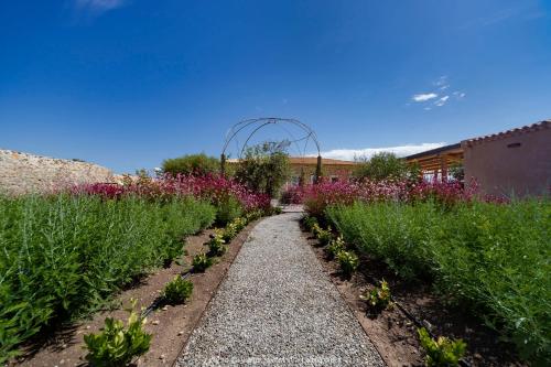 a garden with pink flowers and a building at Hotel Casale Milocca in Syracuse