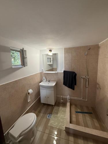a bathroom with a toilet and a shower and a sink at Casa din Deal in Runc