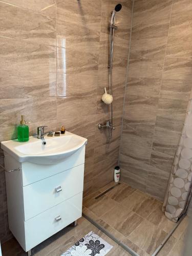 a bathroom with a sink and a shower at Casa David in Mălăeşti