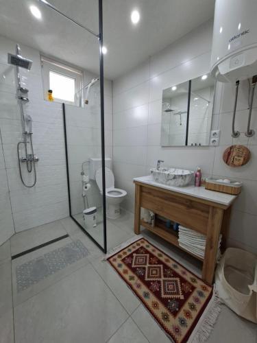 a bathroom with a shower and a sink and a toilet at Apartmani E&A Jasmina Okanović in Gradačac