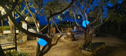 a garden at night with blue lights on the trees at Splendida villa in riva al mare in Orosei