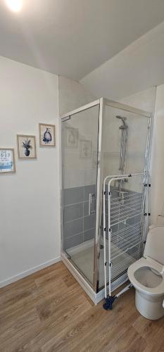 a bathroom with a shower and a toilet at La mie du Hom in Thury-Harcourt