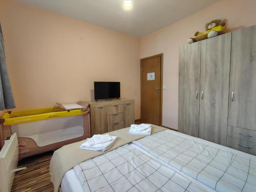 a bedroom with a bed and a tv in it at Апартамент за гости Александър in Chepelare