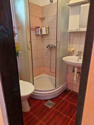 ein Badezimmer mit Dusche, Toilette und Waschbecken in der Unterkunft Carmen in Bijela