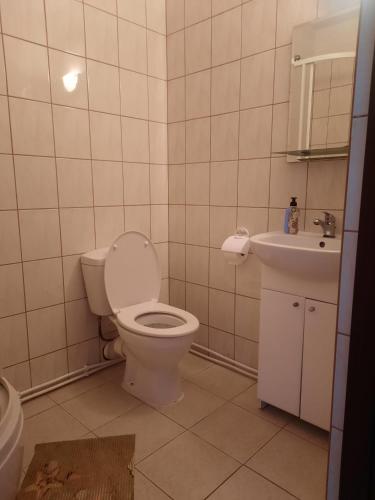 a bathroom with a toilet and a sink at Dworek kwatery pracownicze in Kętrzyn