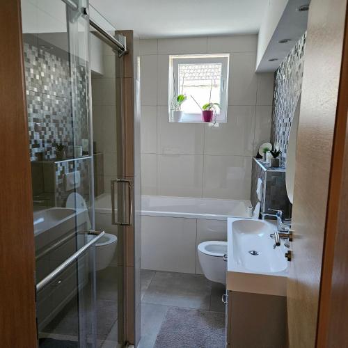 a bathroom with a sink and a toilet and a shower at Apartment & Rooms Majetic-Draskovic in Bizovac